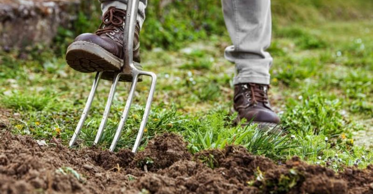 14 Garden Shed Essentials Every North Carolina Gardener Swears By