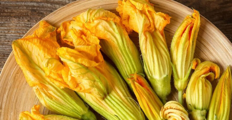 zucchini flowers