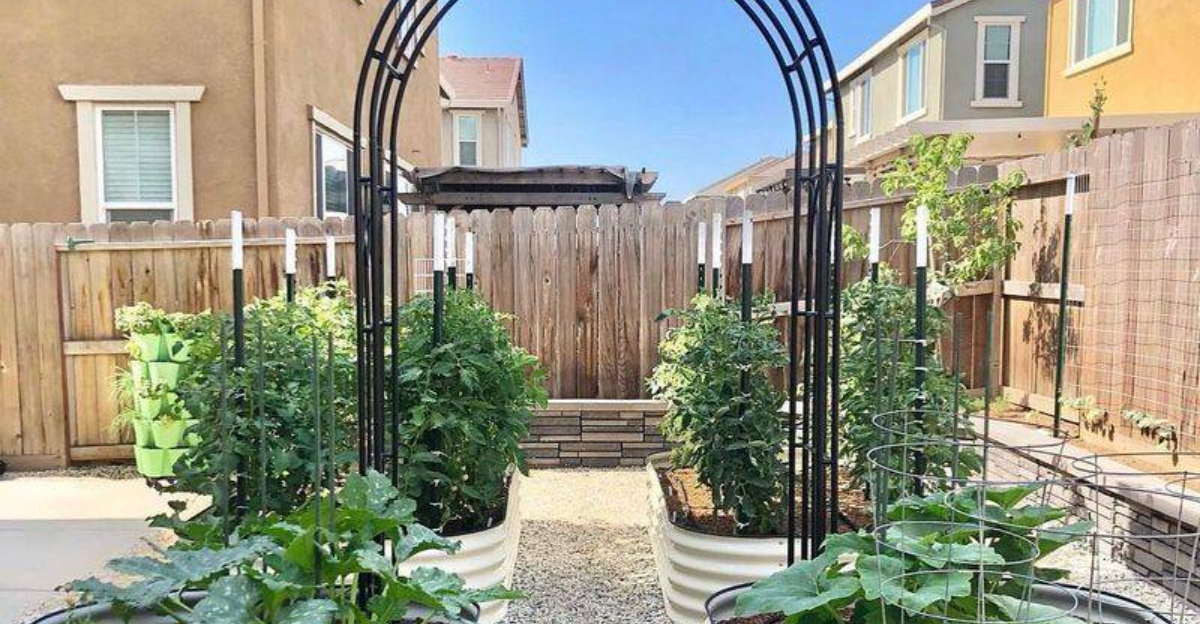 metal trellis