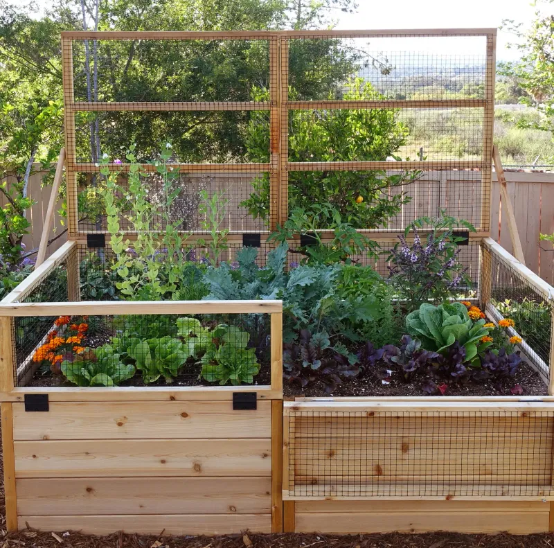 Weather-Resistant Wooden Trellises For Louisiana's Humid Climate