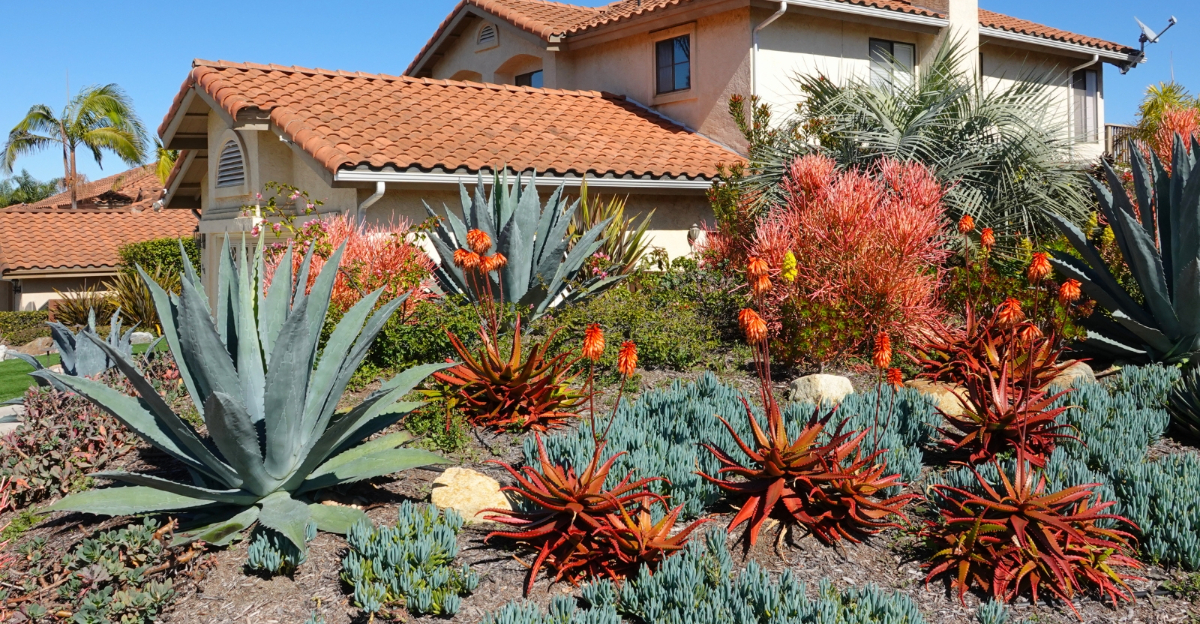 garden (featured image)