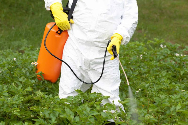 Chlorpyrifos Pesticides