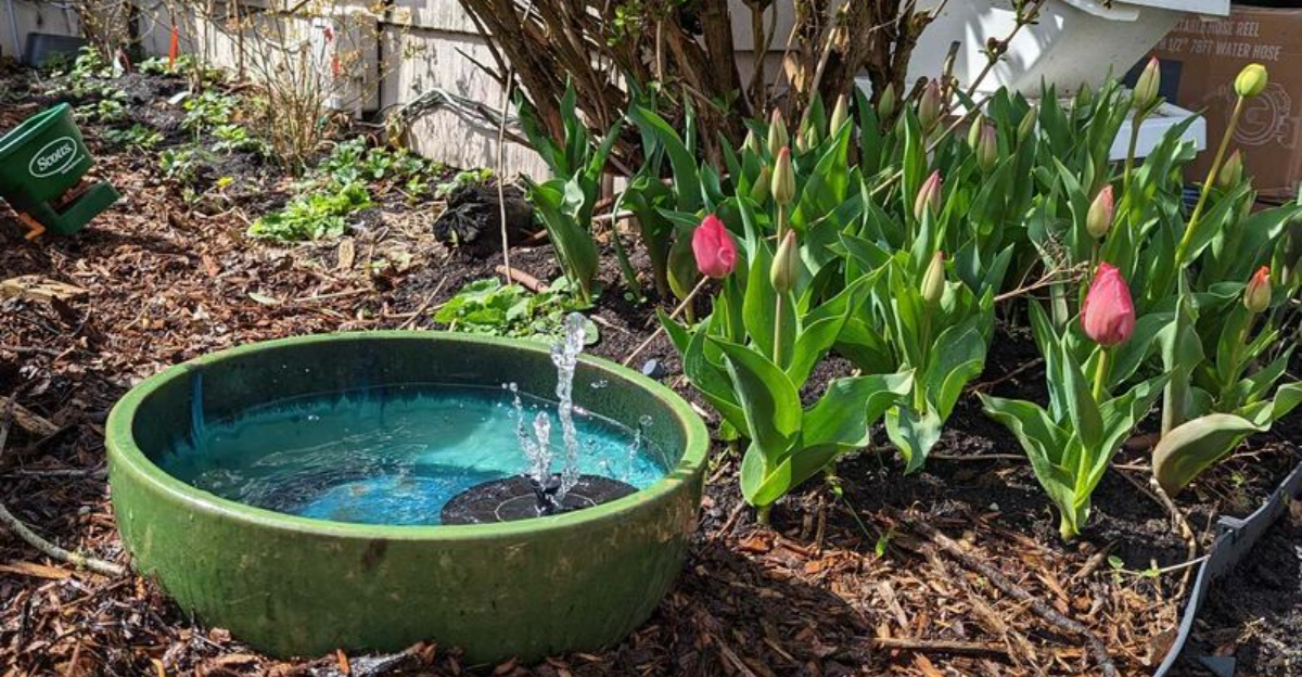 pot transformed into water feature