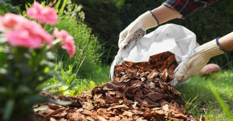 6 Must-Know Gardening Tricks For Healthier Plants