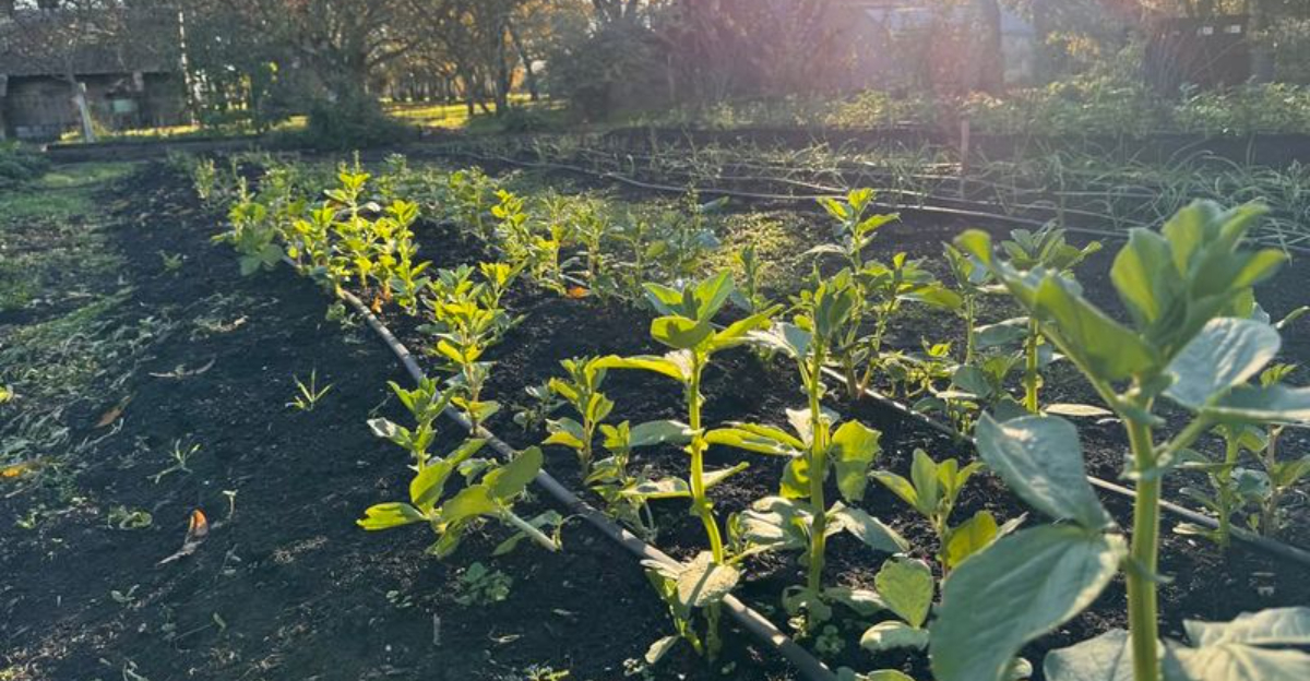 6 Signs It Is Too Early To Begin Planting In Wisconsin