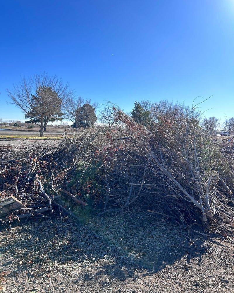 Remove Winter Debris Without Disturbing Soil Structure