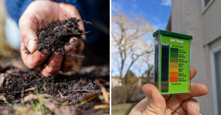 organic matter and soil test kit