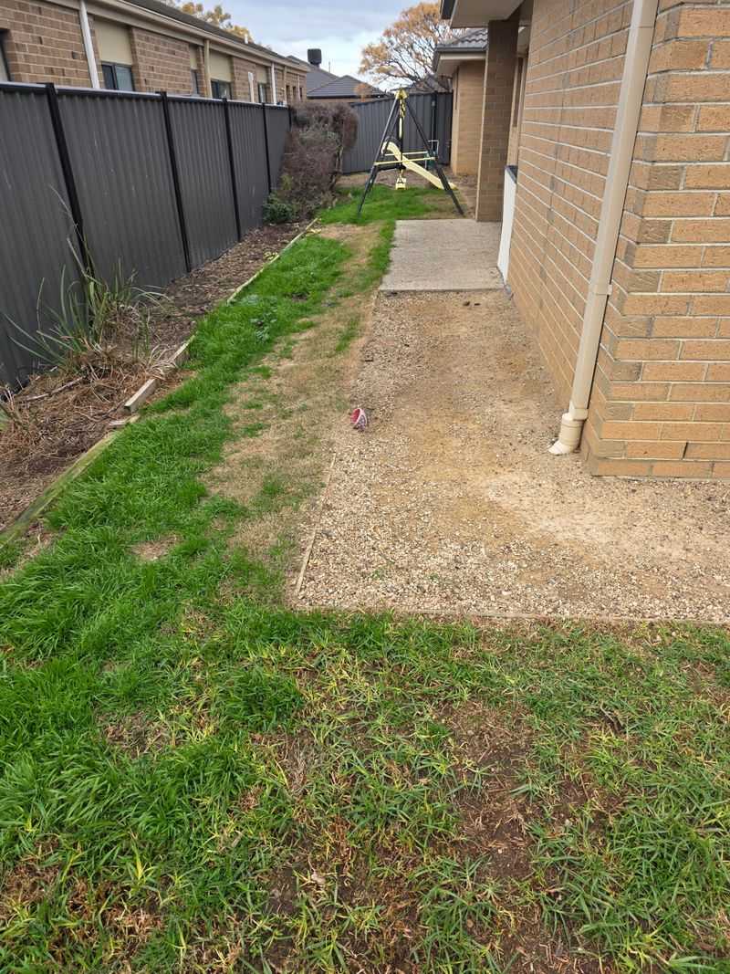 Check Your Lawn Before It Wakes Up