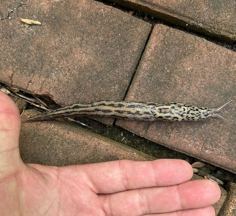 Hand Removal At The Right Time