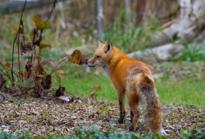 Stay Calm And Observe From A Distance