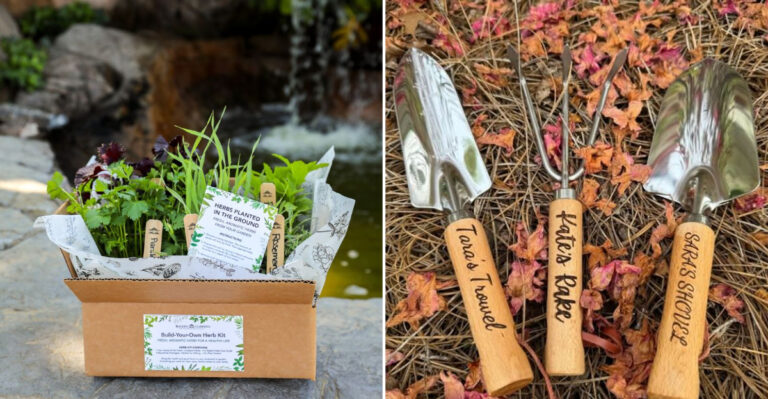 valentines day gifts