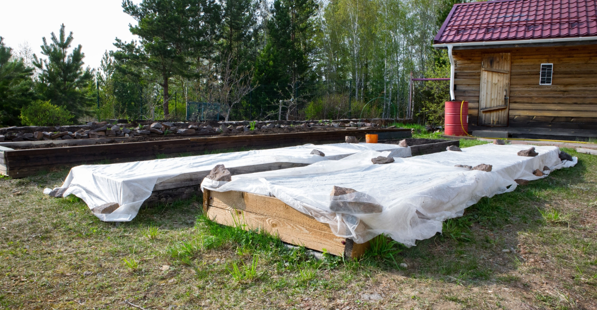 garden beds (featured image)