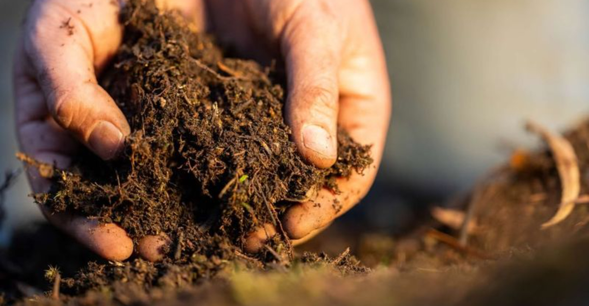 8 Common Gardening Materials That Could Be Restricted In Colorado