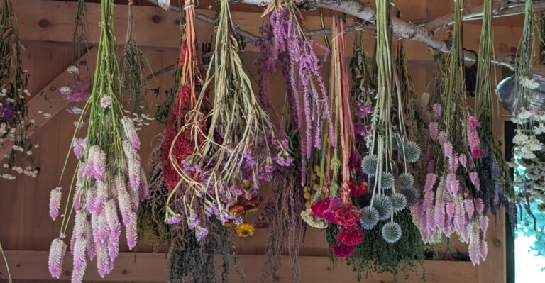 flowers (featured image)