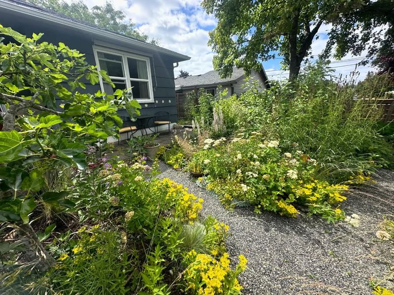 Native Plant Gardens That Thrive Naturally