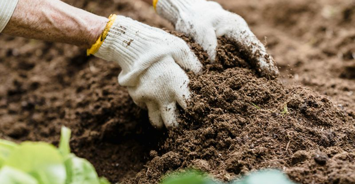 8 Outdoor Garden Chores New Jersey Gardeners Are Better Off Waiting To Do In Spring