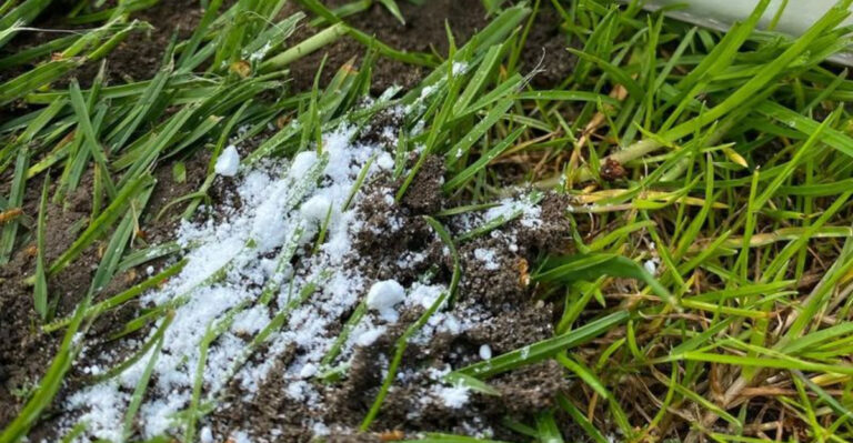 baking soda in garden