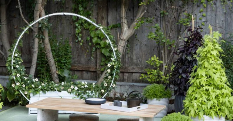 garden (featured image)