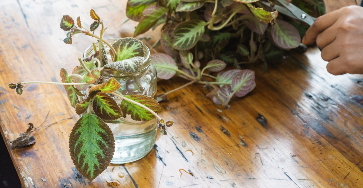 8 Smart Indoor Propagation Ideas For Cold January Days In New York