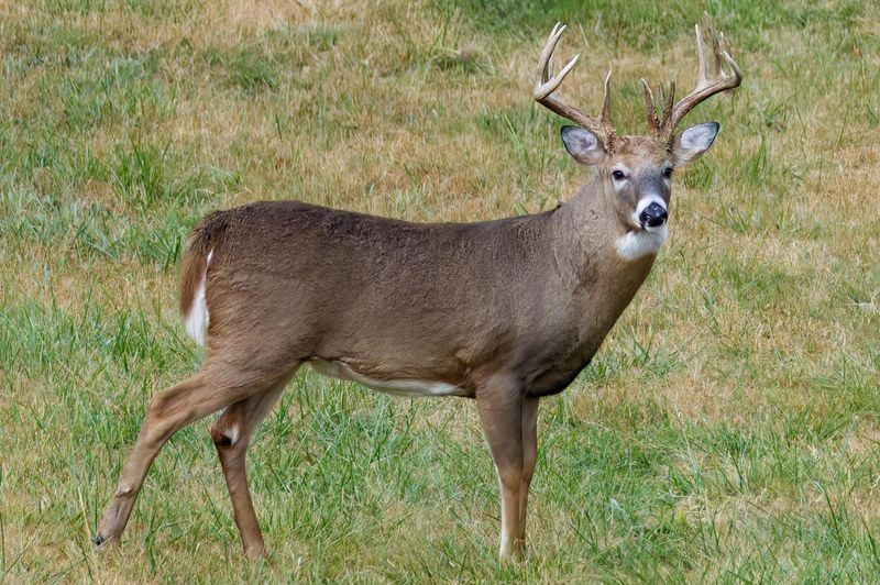 Stay Calm And Keep Your Distance