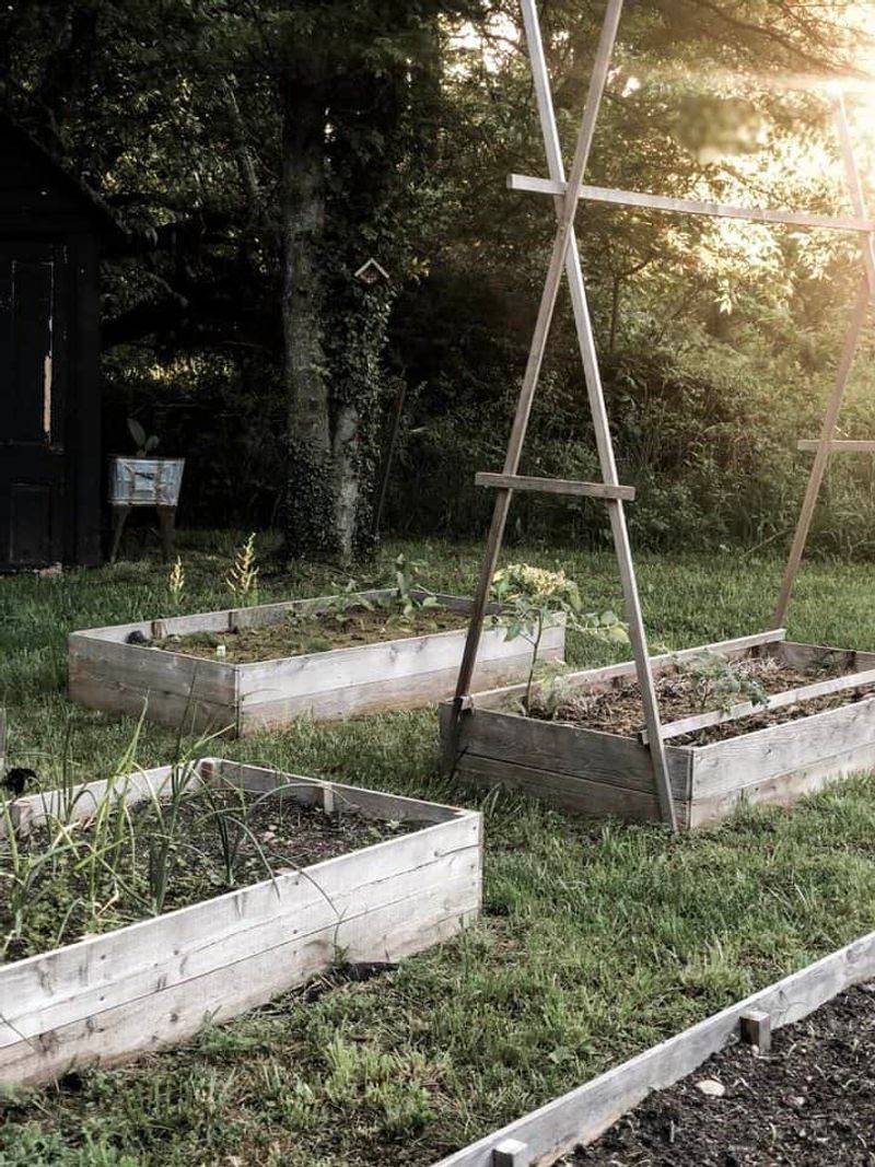 Map Out Your Garden Layout Using Stakes And String