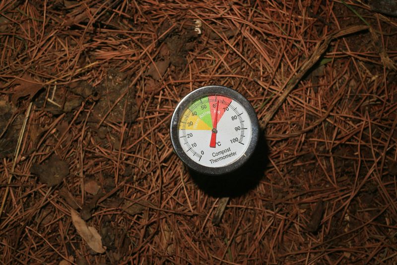 Check The Soil Temperature With A Thermometer