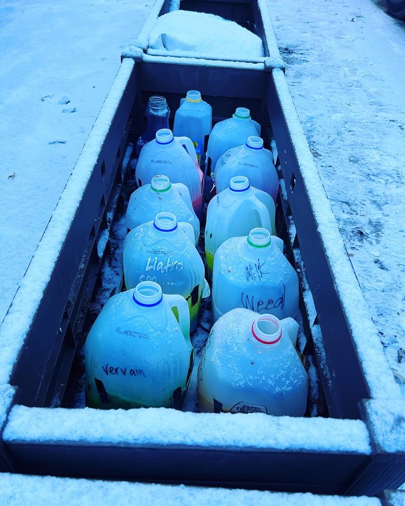 Oregon's Mild Winters Create Natural Germination Cycles