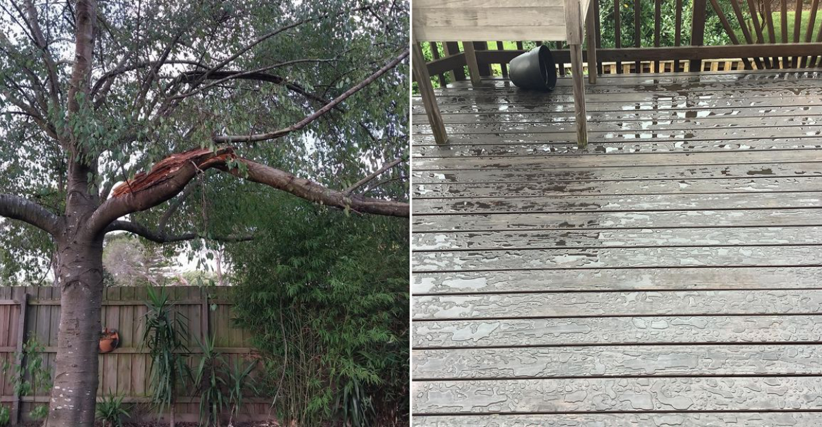 damage in yard after rain