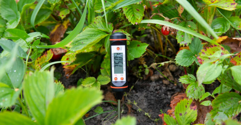 soil testing (featured image)