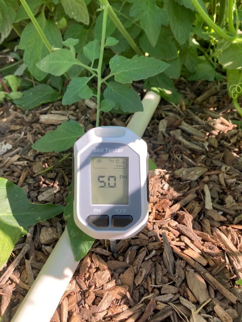Ignoring Soil pH Testing Before Planting