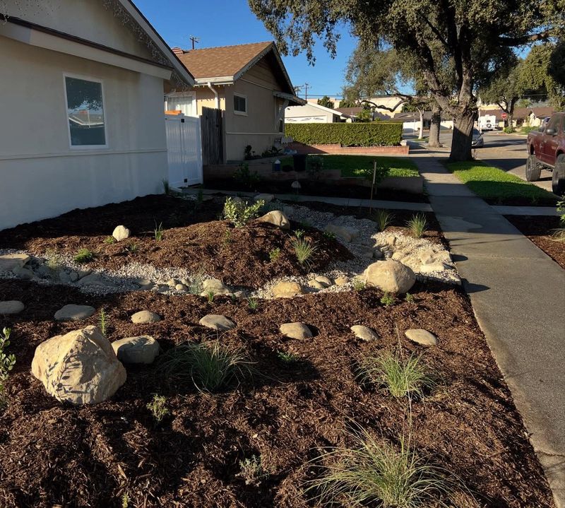 Rain Gardens That Capture Runoff
