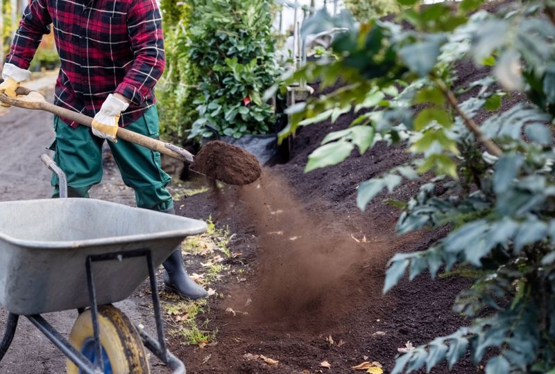 Test And Amend Your Soil For Optimal Spring Growth