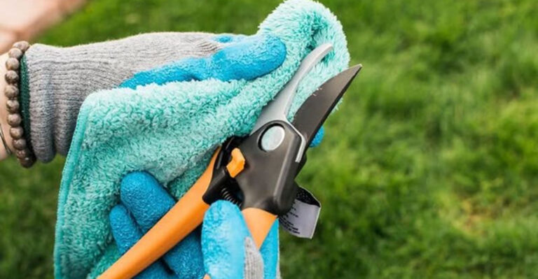 cleaning garden tools