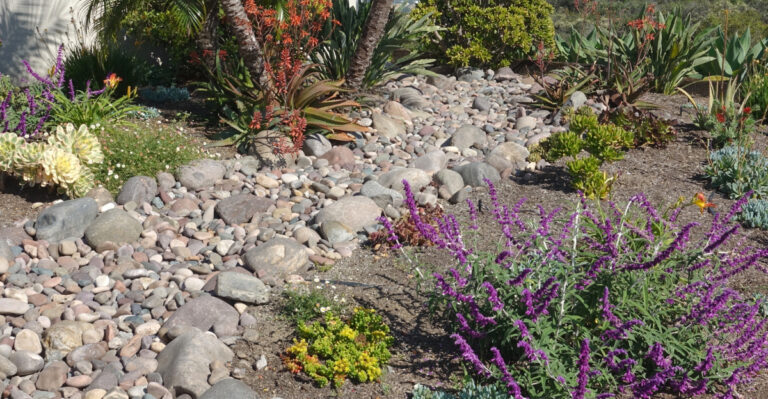 garden (featured image)