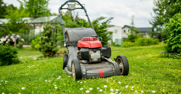 lawn (featured image)