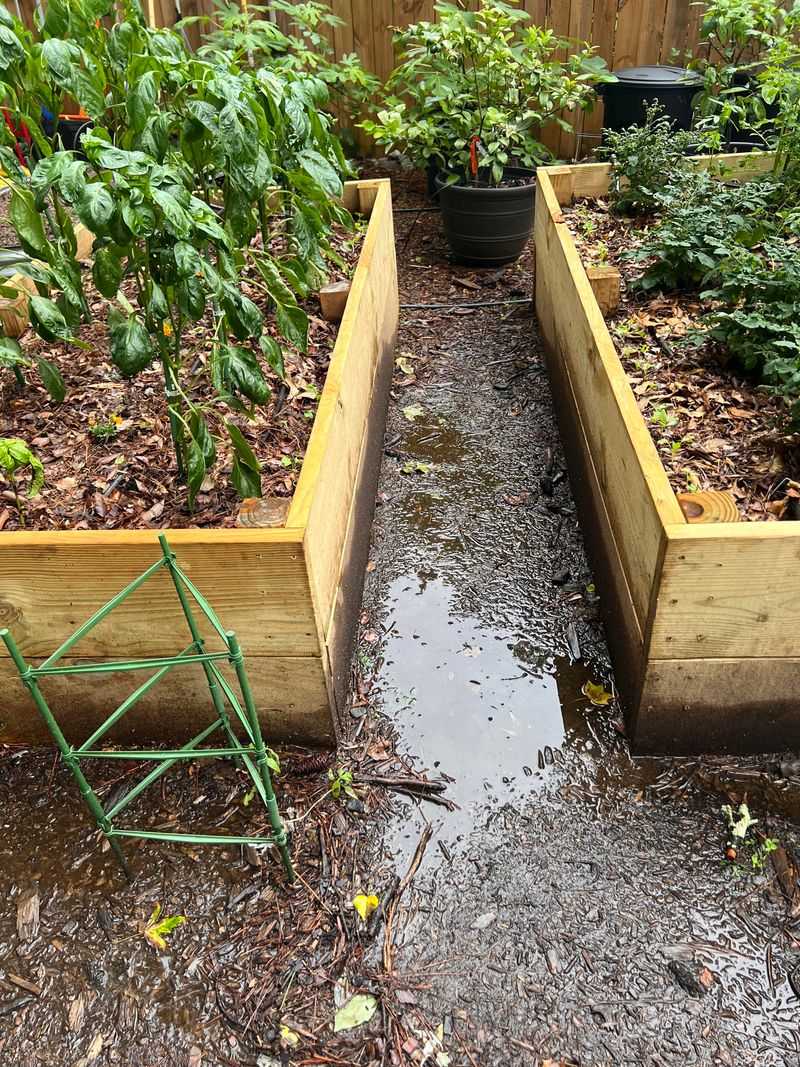 Improve Drainage Before Planting