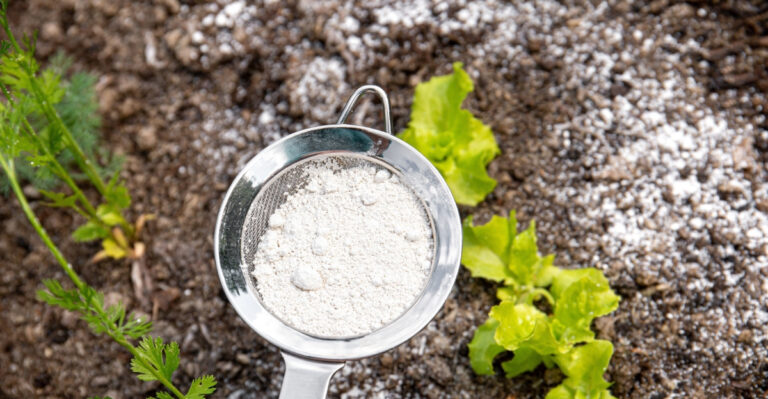 baking soda (featured image)