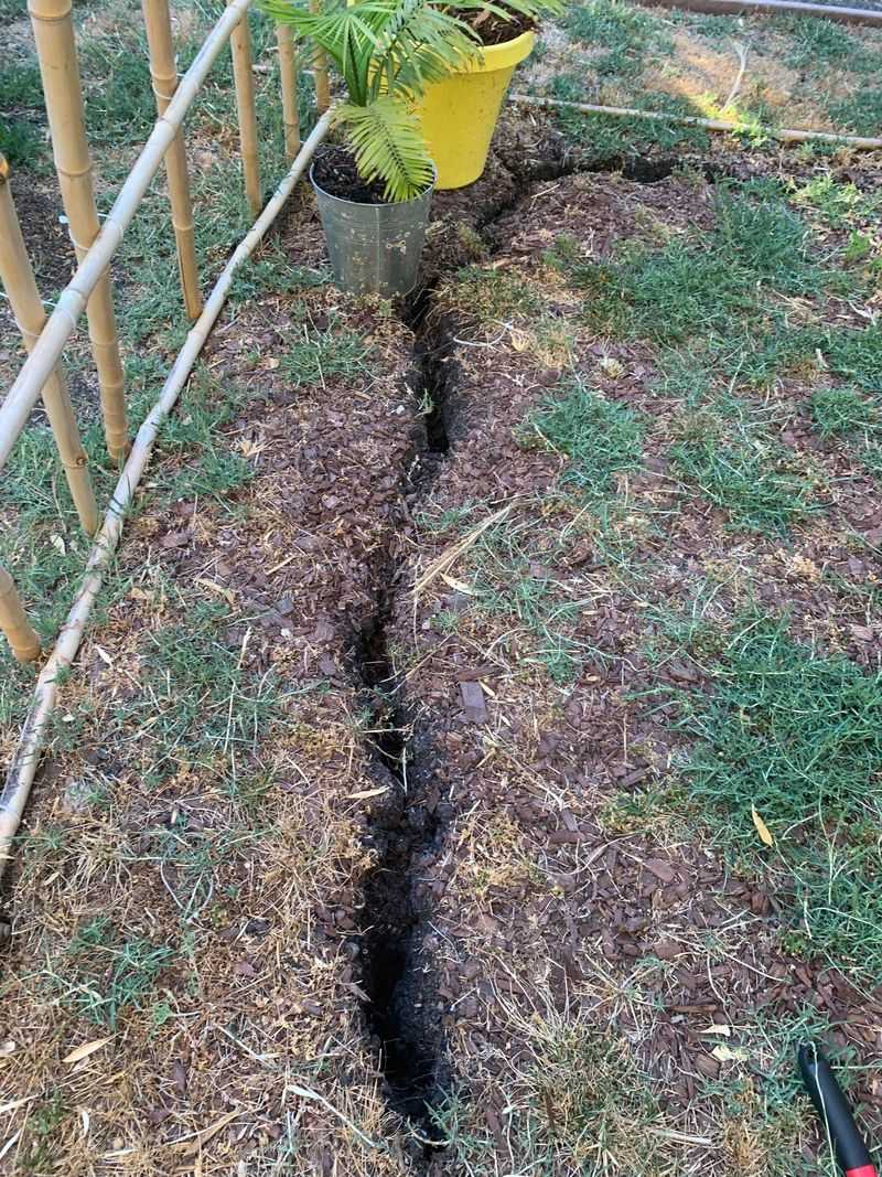 Extended Sun Exposure Is Drying Soil Faster Than Expected