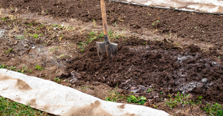 mulching garden (featured image)