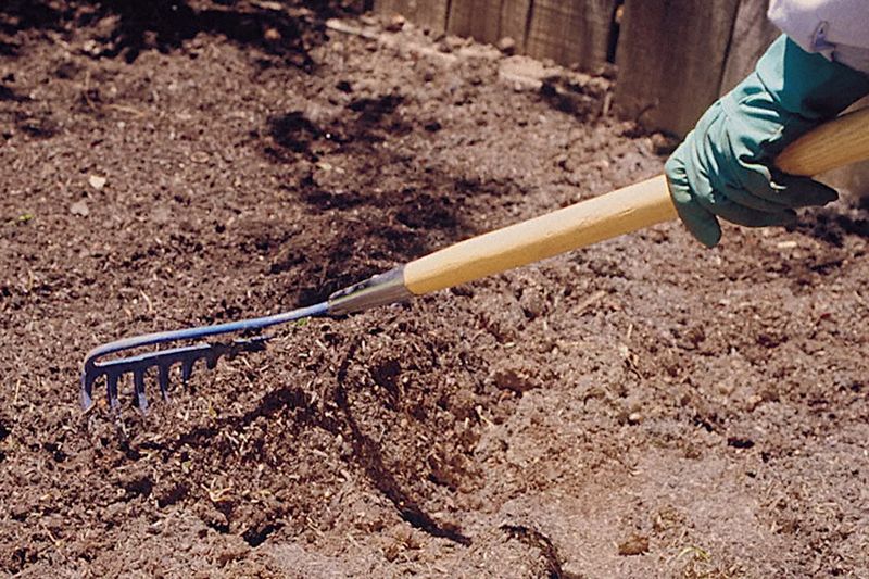 Improve Soil Drainage Before Planting