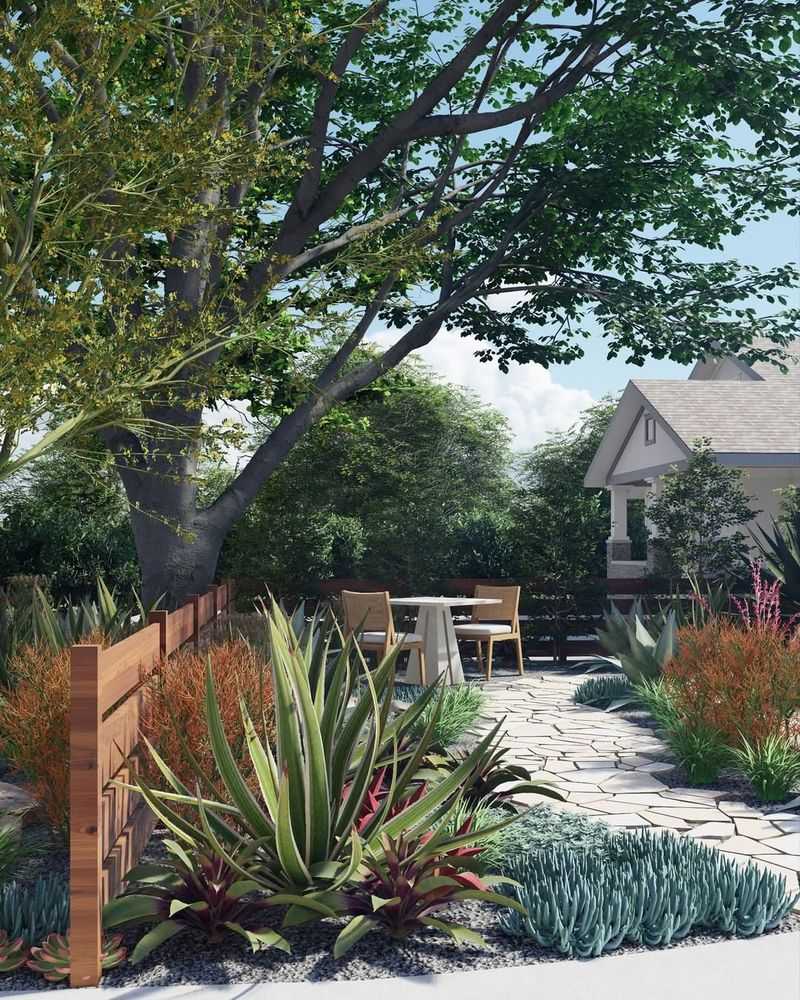 Native Desert Plants Replace Traditional Grass Lawns