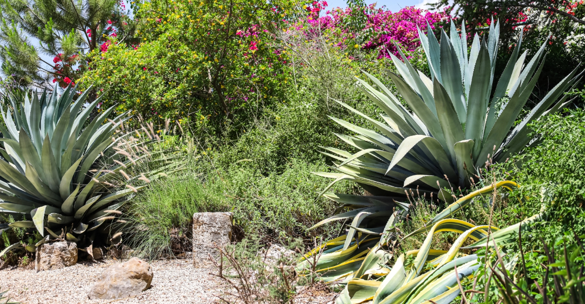 9 Smart Landscaping Upgrades Helping Arizona Yards Use Way Less Water