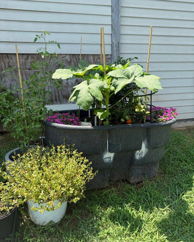 Refreshing Soil Instead Of Starting From Scratch