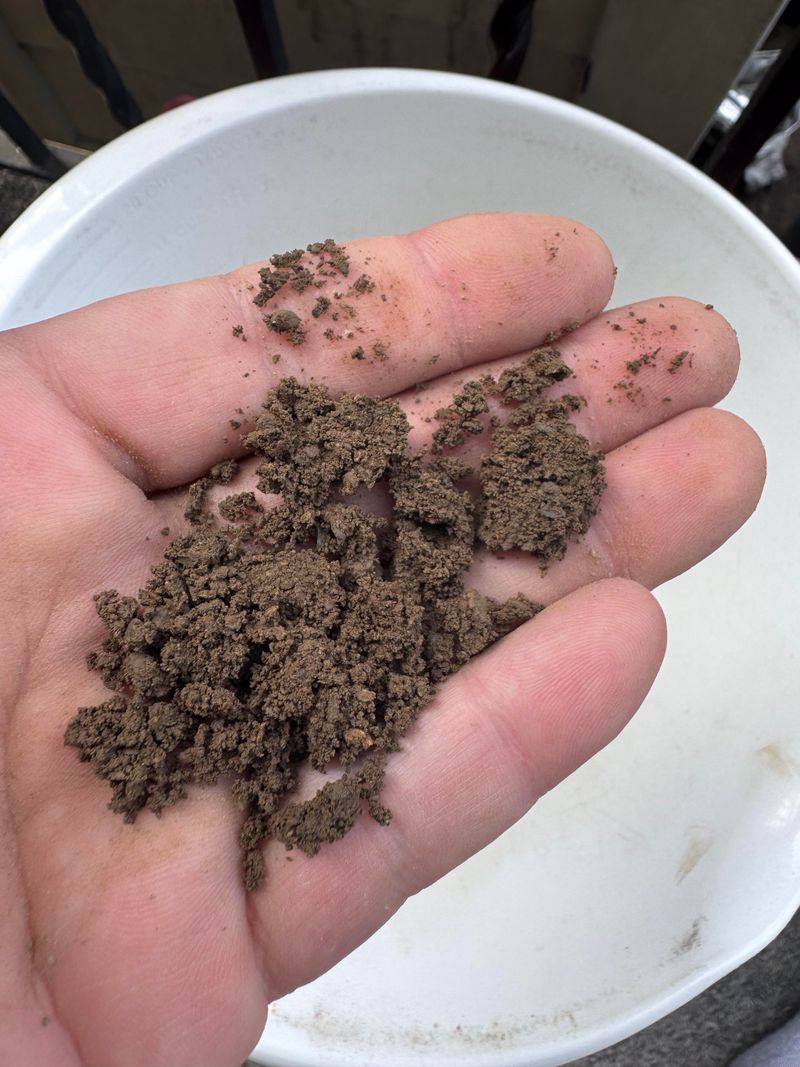 Loamy Soil