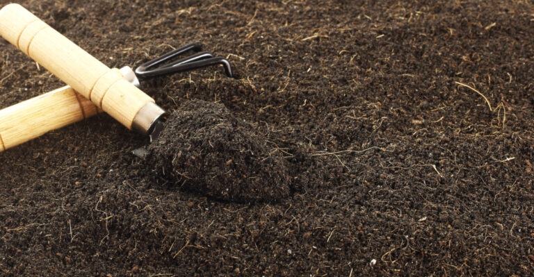 soil (featured image)