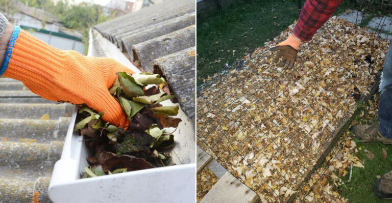 9 Things Oregon Gardeners Need To Do Before Spring Rains Hit