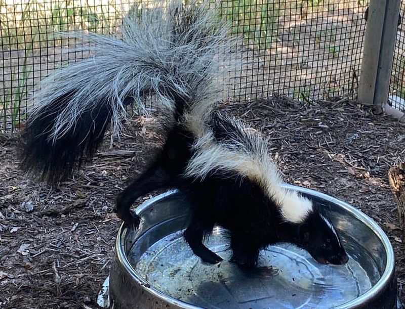 Stay Calm and Keep Your Distance