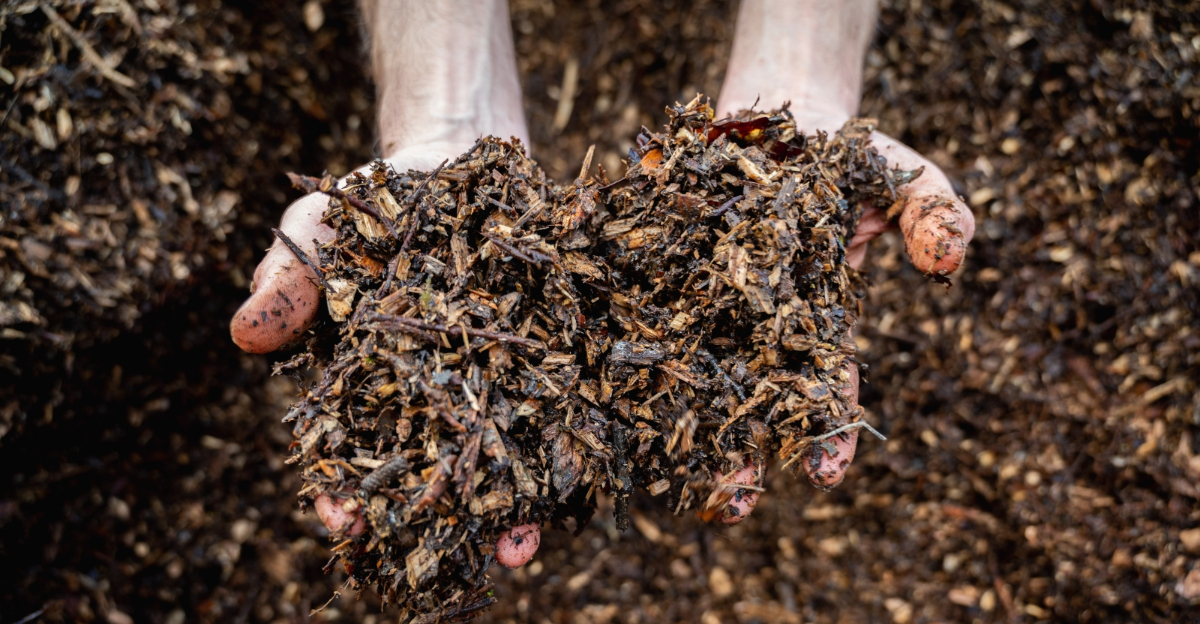 mulch (featured image)