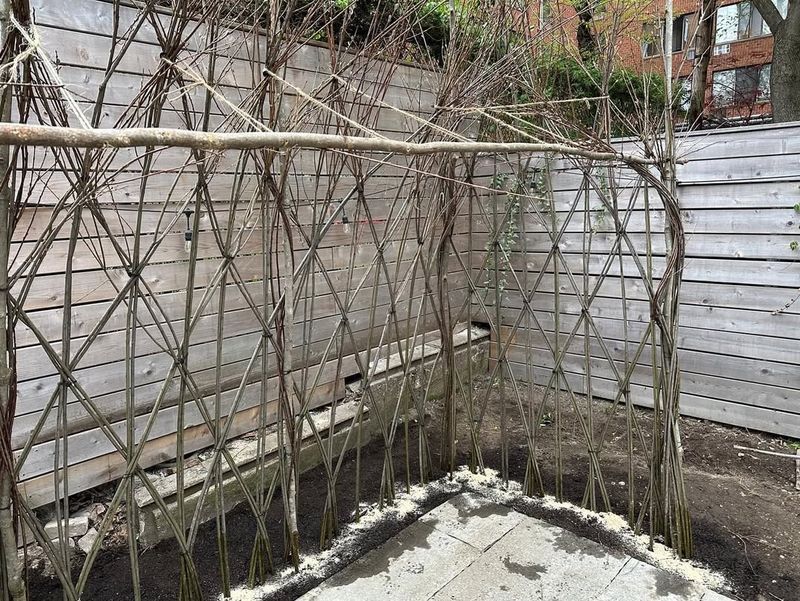 Classic Wooden Ladder Trellis