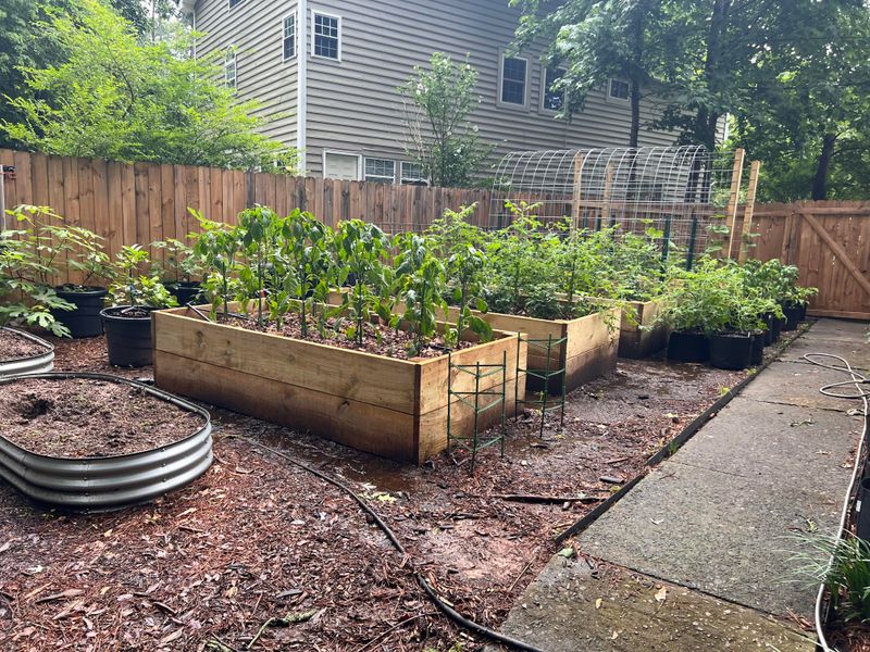 Improve Drainage Before Planting Vegetables